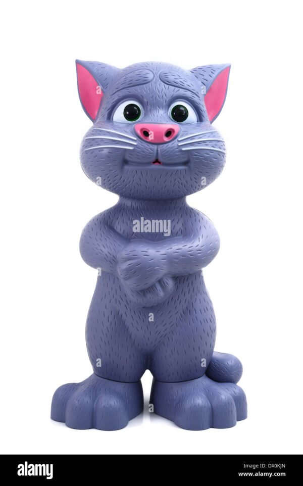 Talking tom cat